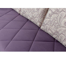 Диван-кровать Флеш-1 (вариант 2) Диван-кровать Флеш-1 (вариант 2)